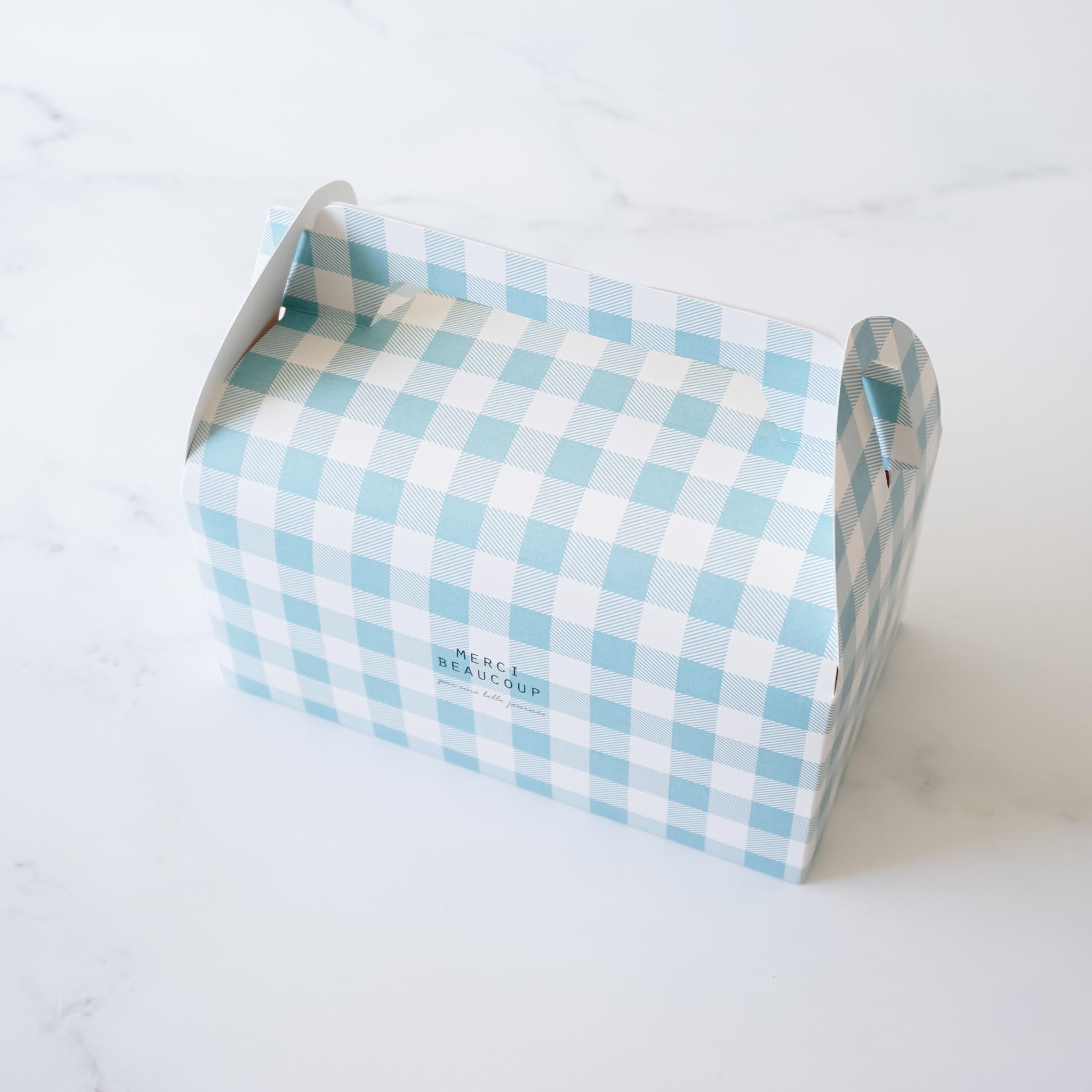 blue gingham gable box in medium