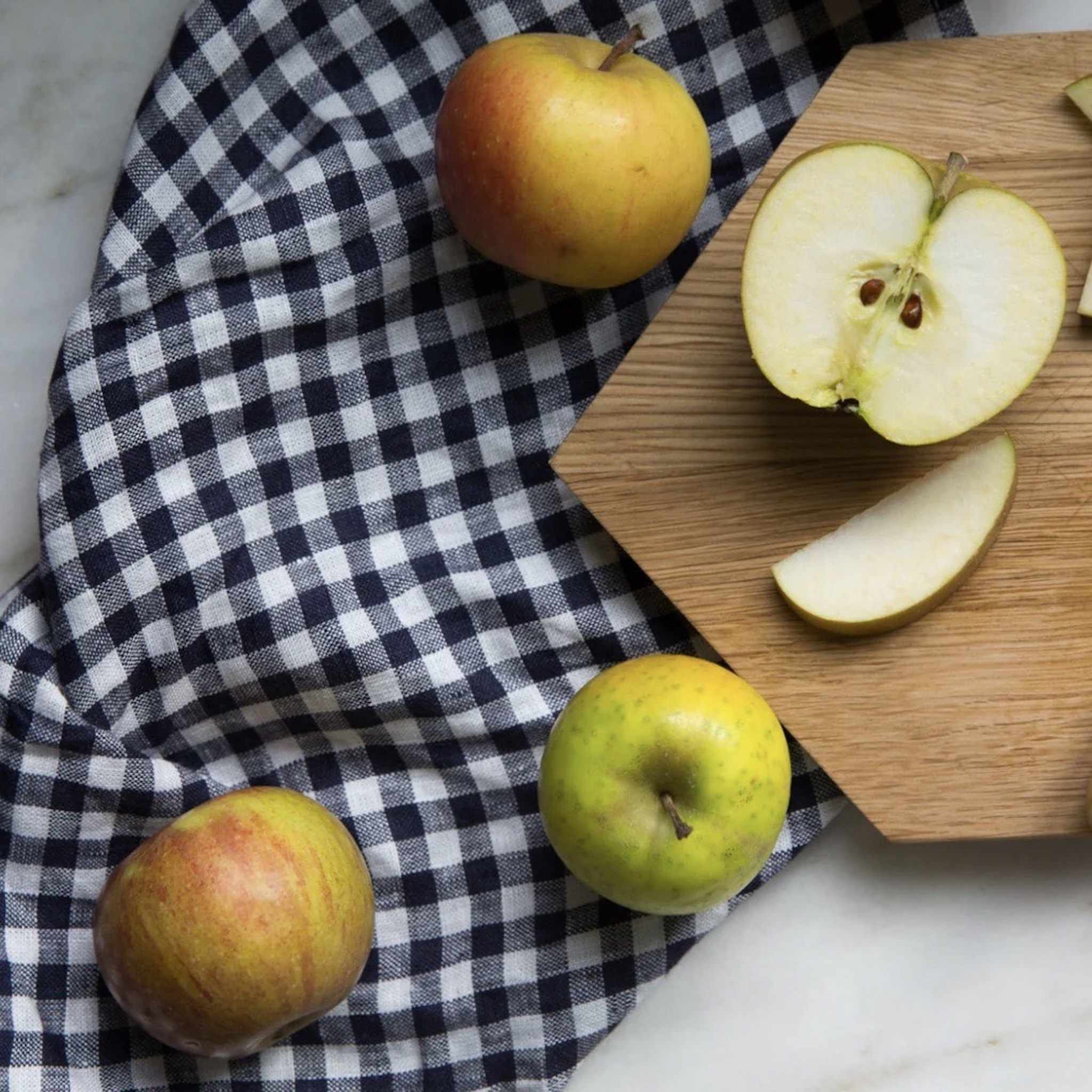 linen dish towel in navy/white gingham check